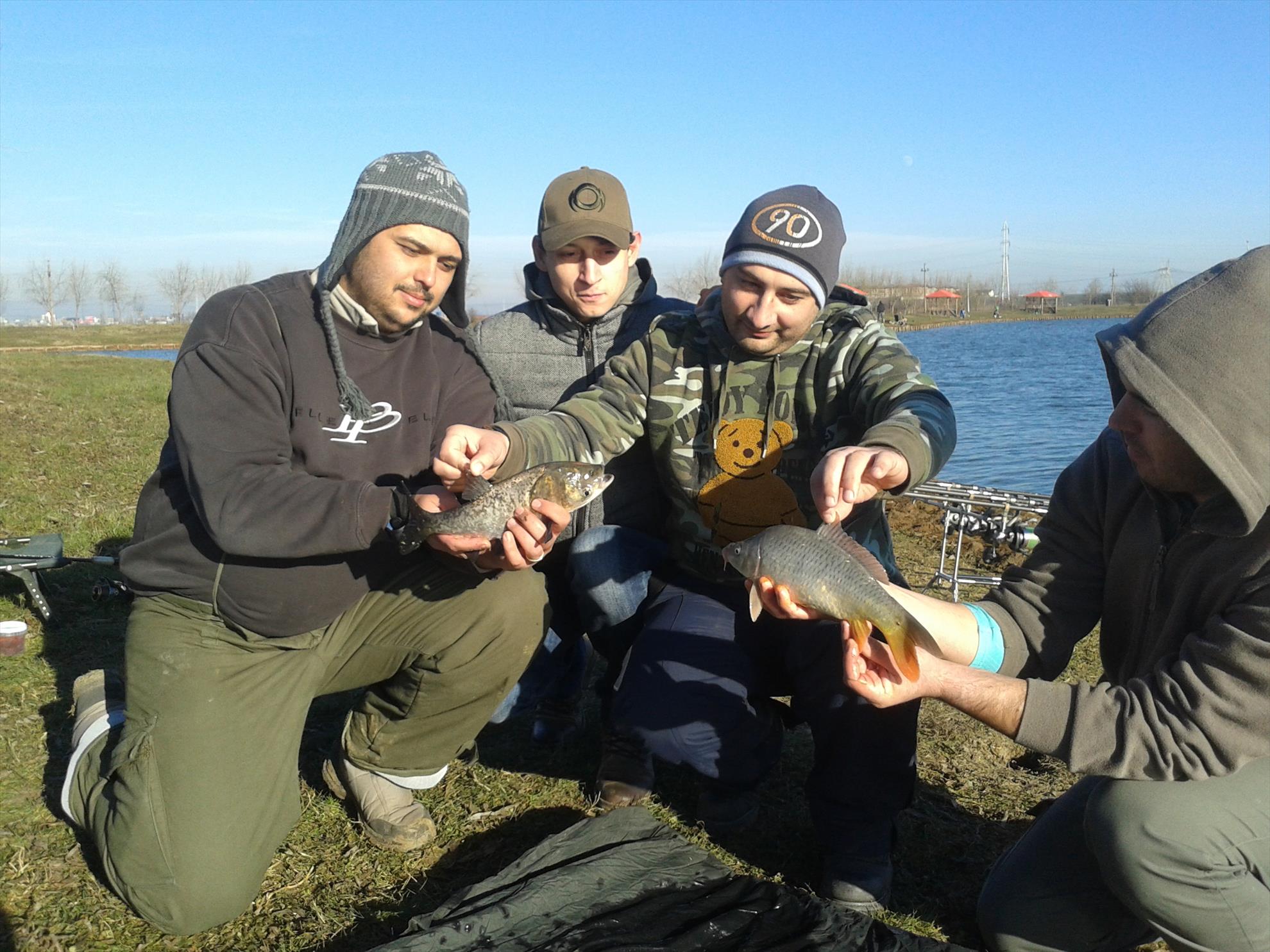 Florea Popestiului 11.01.2014 - 20140111141443.jpg